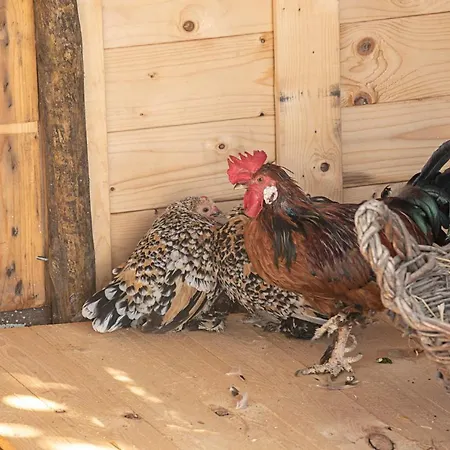 Ninho Saloio Bed and breakfast